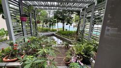 The Miltonia Residences (D27), Condominium #451905181